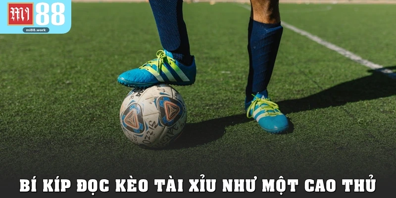 Bí kíp đọc kèo tài xỉu như một cao thủ