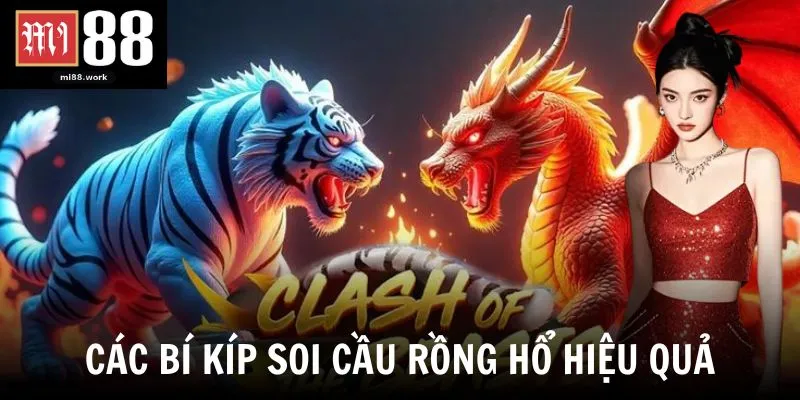Các bí kíp soi cầu rồng hổ hiệu quả