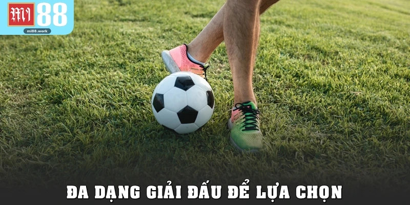 Đa dạng giải đấu để lựa chọn