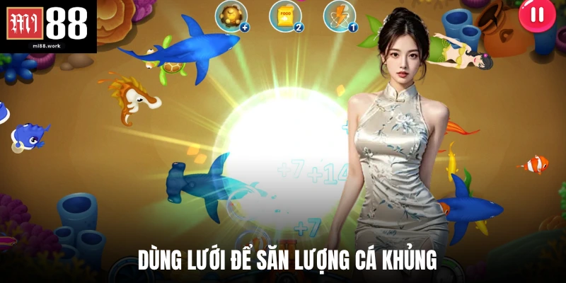 Dùng lưới để săn lượng cá khủng