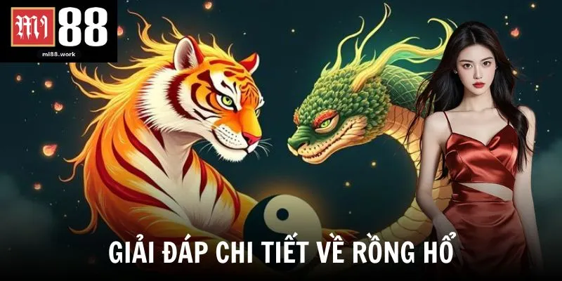 Giải đáp chi tiết về rồng hổ