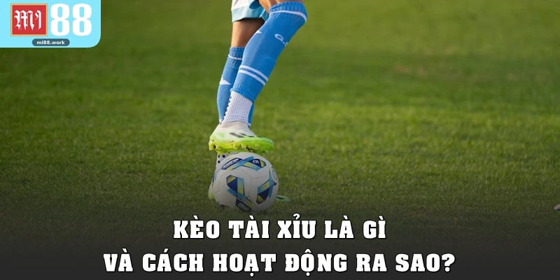 Kèo tài xỉu là gì và cách hoạt động ra sao?