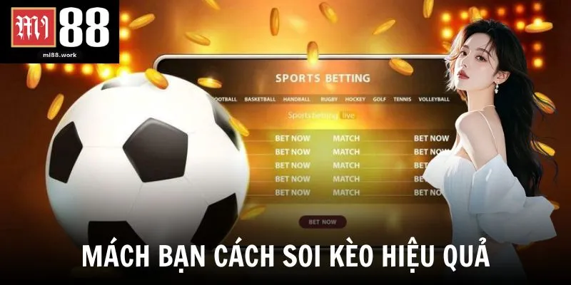 Mách bạn cách soi kèo hiệu quả