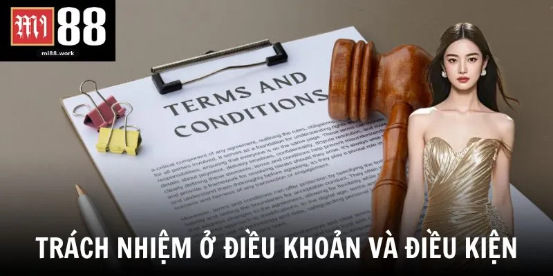 Trách nhiệm ở điều khoản và điều kiện