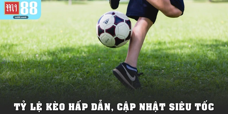 Tỷ lệ kèo hấp dẫn, cập nhật siêu tốc